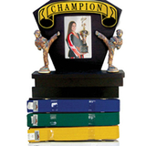 Tiger Claw Deluxe Picture Frame & Ranking Belt Display