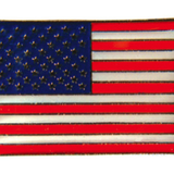Tiger Claw USA Flag Pin