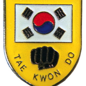 Tiger Claw Taekwondo Shield Pin