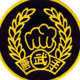 Tiger Claw Tang Soo Do Patch (4