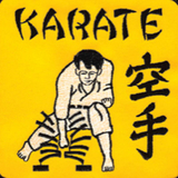 Tiger Claw Karate Tile Breaker Patch (5