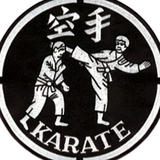 Tiger Claw Karate Jacket Patch (8