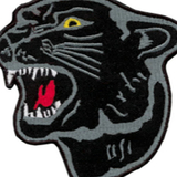 Tiger Claw Black Panther Patch