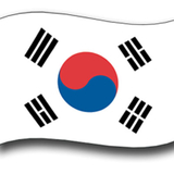 Tiger Claw Korean Flag