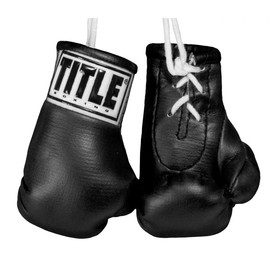TITLE Boxing MBG Mini Boxing Gloves