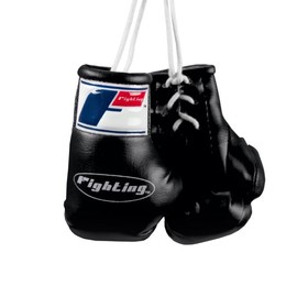 Fighting FSMBG Mini Boxing Gloves