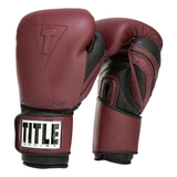 TITLE Boxing ALIATGE Ali Authentic Leather Training Gloves
