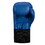 TITLE Boxing USA Boxing Competition Gloves - Elastic