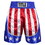 TITLE Boxing USA Trunks 4.0