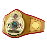 TITLE Boxing Gold Flash Title Belt