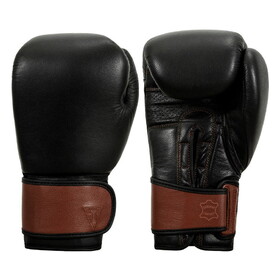 TITLE Boxing Honorary Bag Gloves