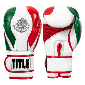 TITLE Boxing Infused Foam El Combate Mexico Training Gloves