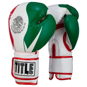 TITLE Boxing HIFXTG Infused Foam El Combate Mexico Training Gloves