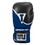 TITLE Boxing Infused Foam Interrogate Training Gloves 2.0