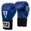 TITLE Boxing Masters USA Boxing Competition Gloves - Elastic