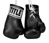 TITLE Boxing 3.5