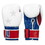 TITLE Boxing Roberto Duran Limited Leather Bag Gloves