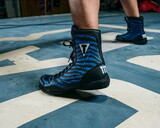 TITLE Boxing Predator Shoes 2.0