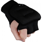 TITLE Boxing TWGV Weighted Gloves
