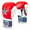 TITLE Boxing USA Leather Bag Gloves