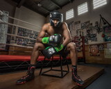WBC by TITLE Boxing Training Gloves