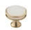 Amerock BP36608BBZFA 1-3/8" (35 mm) Diameter Frosted Acrylic Oberon Cabinet Knob Golden Champagne Finish, Price/EA