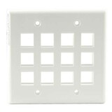 Dual 12 Port Wall Plate - White, FPDG12-W