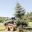 K&M 1067 GreyWolf&#153; Skid Steer Tree Puller Attachment, Price/EA