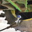 K&M 1209 John Deere S/STS MudOx&#153; Combine Cable Towing Kit