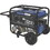 Powerhorse 750133.POW Dual Fuel Generator - 9000 Watts & Electric Start