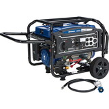 Powerhorse 750134.POW Dual Fuel Generator - 4000 Watts & Electric Start