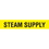 Code Seton Code Economy Self-Adhesive Pipe Markers - Steam Supply, Price/Each