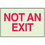 Seton 91187 Not An Exit - Glow-In-The-Dark Fire Exit Sign, Price/Each