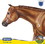 Breyer Animal Creations BYR-1842-C Breyer Traditional 1:9 Scale Model Horse | Chocolatey Champion Appaloosa