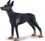 Breyer Animal Creations BYR-88086-C CollectA Cats & Dogs Collection Miniature Figure | Doberman Pinscher