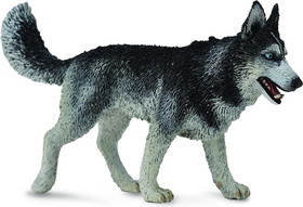 Breyer Animal Creations BYR-88707-C CollectA Cats & Dogs Collection Miniature Figure | Siberian Husky