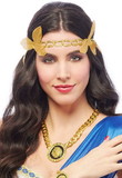 Lion Medallion Necklace Costume Jewelry