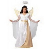 California Costumes Guardian Angel Child Costume