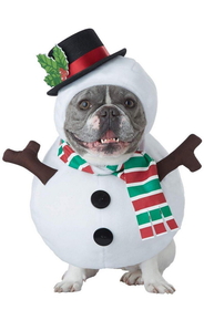 California Costumes Snowman Dog Pet Costume