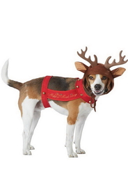 California Costumes Reindeer Dog Pet Costume