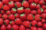 Super Strawberries 100 Piece Cra-Z Difficult Jigsaw Puzzle
