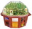 DuneCraft Dunecraft Beer Garden Domed Terrarium