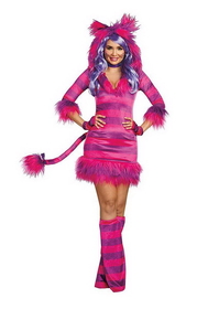 Dreamgirl Magic Cat Women's Costume Hoodie