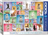 Yoga Dogs 1000 Piece Jigsaw Puzzle
