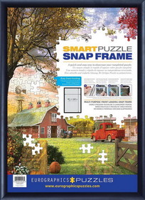 Eurographics EUR-8955-0113-C Assembled Black Aluminum SNAP Picture Frame, 25.5 x 37.5 Inches