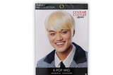 Franco K-Pop Adult Costume Wig - Cosplay, Costume, & Leisure Wig - Blonde Hair Color