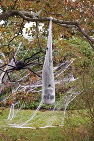 Funworld FNW-91073-C Skull in Spiderweb Cocoon Halloween Prop