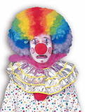 Rainbow Afro Clown Costume Wig
