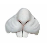 Easter Bunny Animal Nose Costume Accessory Mask