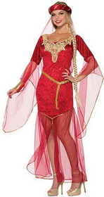 Renaissance Ruby Costume Dress Adult Women
